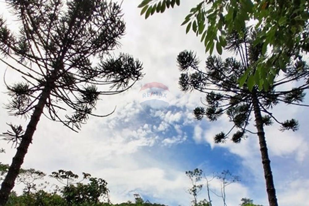 Chácara / Sítio / Fazenda - Venda - Rio Preto , Minas Gerais - WhatsApp Image 2026-01-10 at 15.06.10 (1).jpeg - 860281098-67