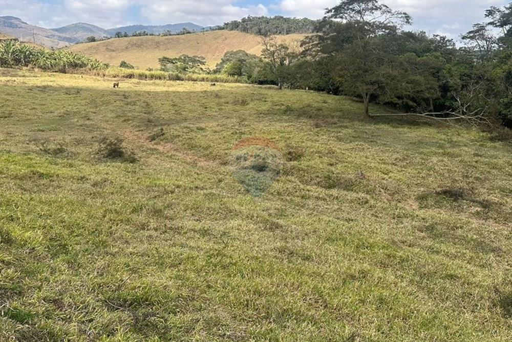 Chácara / Sítio / Fazenda - Venda - Lima Duarte , Minas Gerais - 7fc73879-b96a-4633-9bee-0976b8bd7ea3.JPG - 860291033-133