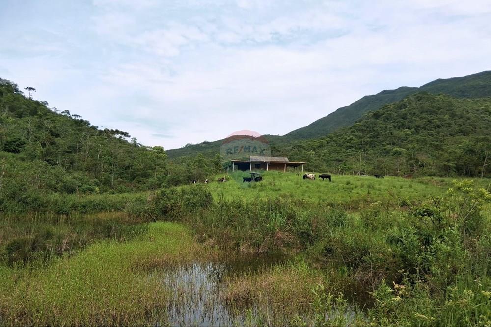 Chácara / Sítio / Fazenda - Venda - Rio Preto , Minas Gerais - WhatsApp Image 2026-01-10 at 15.06.03.jpeg - 860281098-65