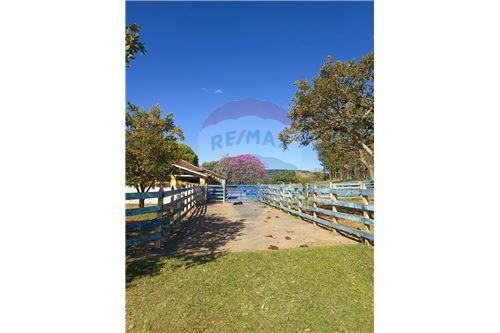 Venda-Chácara / Sítio / Fazenda-ANDRELANDIA ZONA RURAL , KM 3  - ANDRELANDIA  - Centro , Andrelândia , Minas Gerais , 37300000-870301004-171