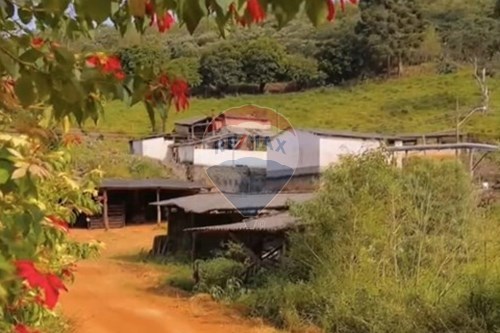 Venda-Chácara / Sítio / Fazenda-Centro , Casa Grande , Minas Gerais , 36422000-870411117-20