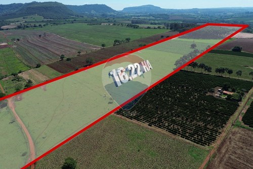 Venda-Chácara / Sítio / Fazenda-AREA RURAL/SANTO ANTÔNIO DA ALEGRIA , 00  - RODOVIA ALTINO ARANTES  - Centro , Santo Antônio da Alegria , São Paulo , 14393899-870601027-9