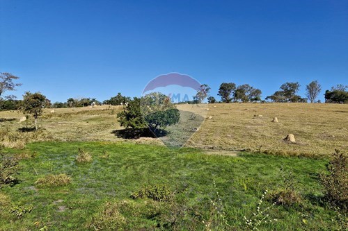 Venda-Chácara / Sítio / Fazenda-Rua Ouro Branco , 364-594  - Distrito Industrial , Conselheiro Lafaiete , Minas Gerais , 36406333-870251094-7