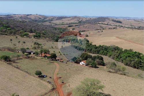 Venda-Fazenda-FAZENDA SÃO GERALDO - Estrada Julieira , km 07  - Coimbras , Passos , Minas Gerais , 37900970-870731008-3