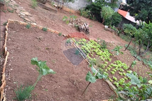 Venda-Terreno-Palmeiras , Belo Horizonte , Minas Gerais , 30575470-870701001-56