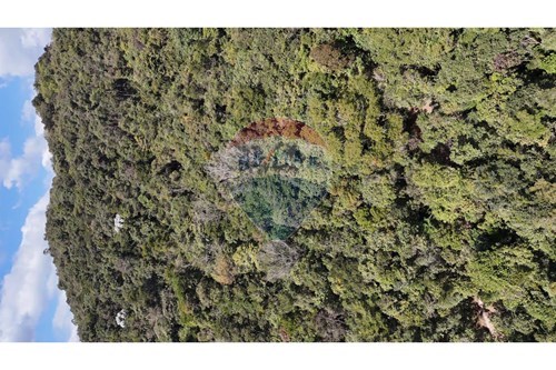 Slider Panorama Image Thumbnail