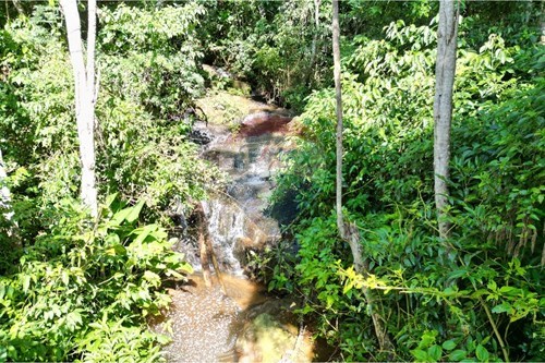 Slider Image Thumbnail