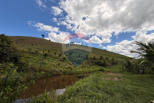 Venda-Chácara / Sítio / Fazenda-Sítio Córrego do Tribuna, Barra Alegre , sem n°  - Sítio Turístico  no Tribuna Fazenda do Zaca RPPN  - Barra Alegre , Ipatinga , Minas Gerais , 35164899-870711007-44