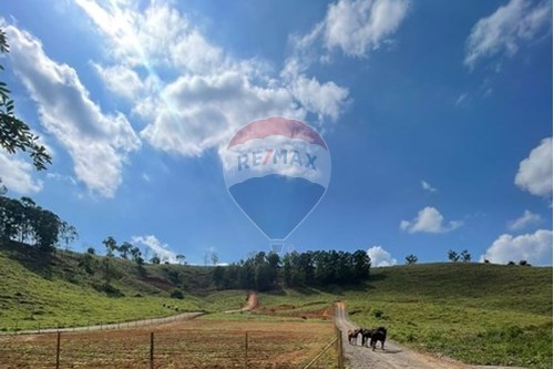 Venda-Chácara / Sítio / Fazenda-Macuco , Timóteo , Minas Gerais , 35183-000-870711001-23