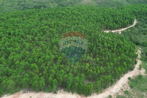 Venda-Fazenda-Centro , Inimutaba , Minas Gerais , 39243000-870411101-21