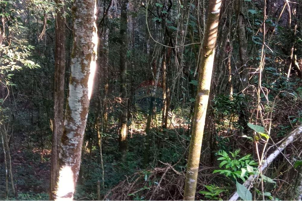 Residential Land Nova Lima , Minas Gerais BR 8702510138 , RE/MAX Global Real Estate