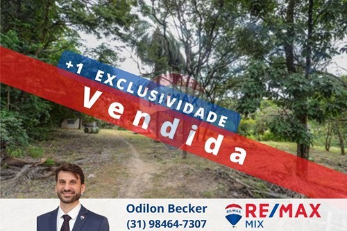 Venda-Chácara / Sítio / Fazenda-Chácara Cotia , Contagem , Minas Gerais , 32183-085-870241081-104