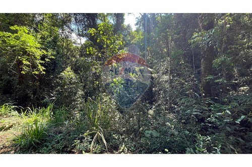 Venda-Terreno-Rua das Sucupiras , 5  - Jardins de Petrópolis , Nova Lima , Minas Gerais , 34015215-870351032-24