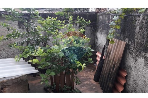 Slider Image Thumbnail