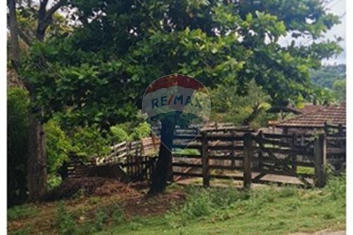 Venda-Fazenda-Área Rural de Pedro Leopoldo , Pedro Leopoldo , Minas Gerais , 33258899-870411117-34