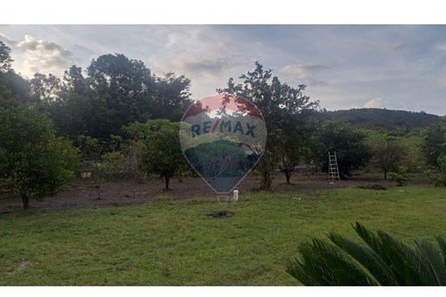 Venda-Chácara / Sítio / Fazenda-Centro , Araxá , Minas Gerais , 38184023-870431058-36