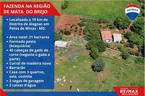 Venda-Chácara / Sítio / Fazenda-Fazenda Alagoas , S/N  - Mata do Brejo  - Residencial Barreiro , Patos de Minas , Minas Gerais , 38700000-870631020-10