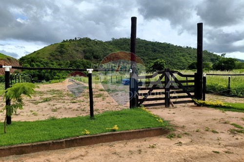 Venda-Chácara / Sítio / Fazenda-Córrego Mexerico , s/n  - Centro , Conceição de Ipanema , Minas Gerais , 36947000-870451004-113