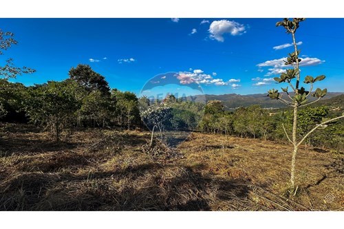 Venda-Terreno-Quintas do Sol , Nova Lima , Minas Gerais , 34003062-870351021-83