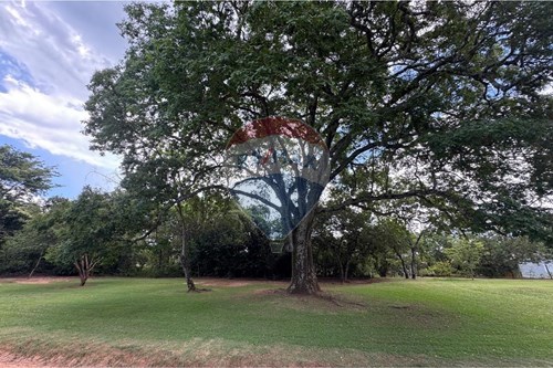 Venda-Terreno-Delfinópolis , Minas Gerais , 37910000-870721005-34