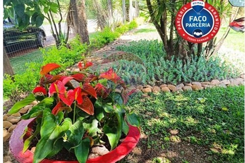 Venda-Terreno-Centro , Brumadinho , Minas Gerais , 35460000-870421014-362