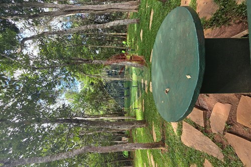 Slider Image Thumbnail