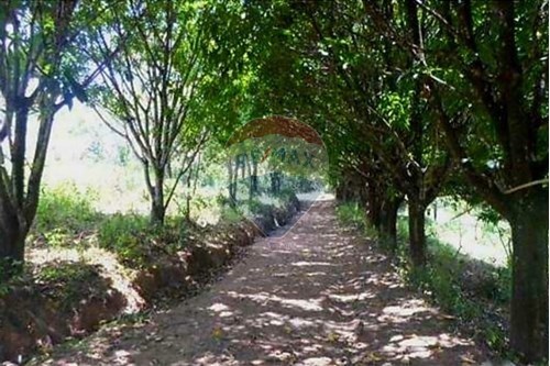 Venda-Terreno-Rua José Teófilo Valle , S/N  - Ao Lado da Empresa de ônibus Via Ouro  - Campo do Pires , Nova Lima , Minas Gerais , 34012230-870241097-38