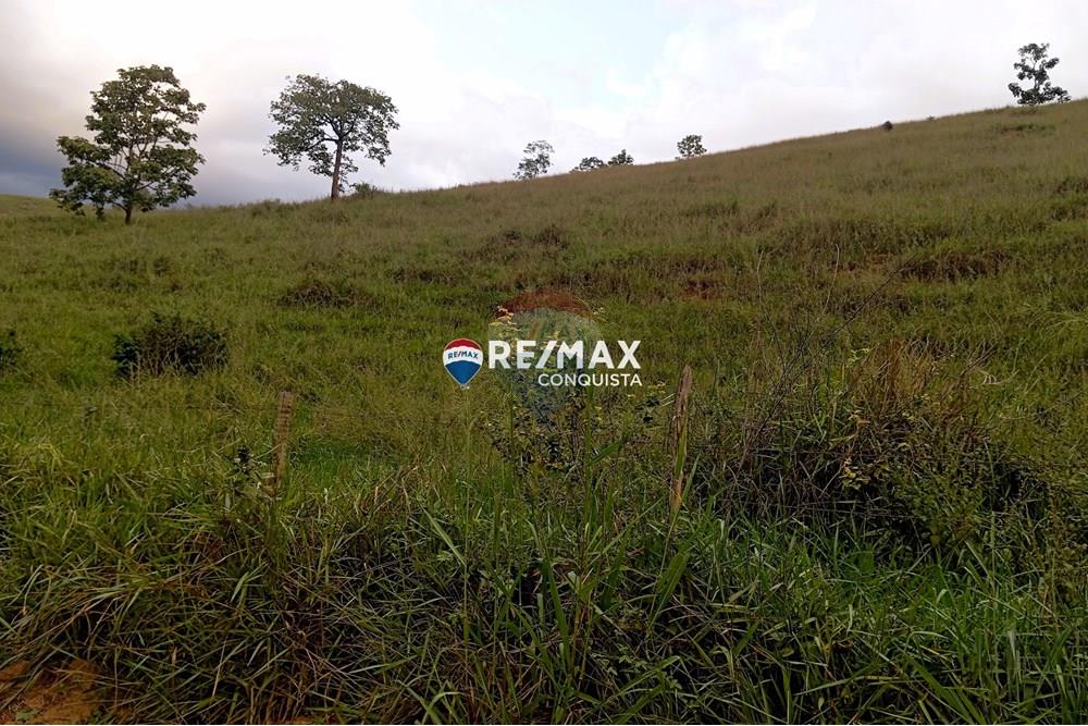 Terreno - Venda - Taparuba , Minas Gerais - 0_image_0_watermark_sex._02052025_102524.jpg - 870451001-127