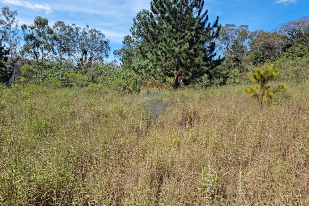 Terreno - Venda - Nova Lima , Minas Gerais - 19.jpeg - 870421084-16