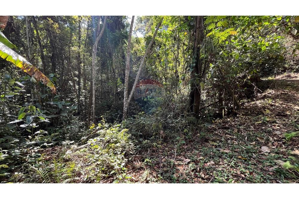 Terreno - Venda - Nova Lima , Minas Gerais - WhatsApp Image 2025-11-04 at 10.48.11 (1).jpeg - 870351032-24