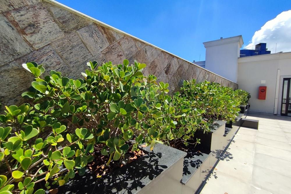 Apartamento - Venda - Poços de Caldas , Minas Gerais - IMG_20260324_113417.jpg - 870361054-12