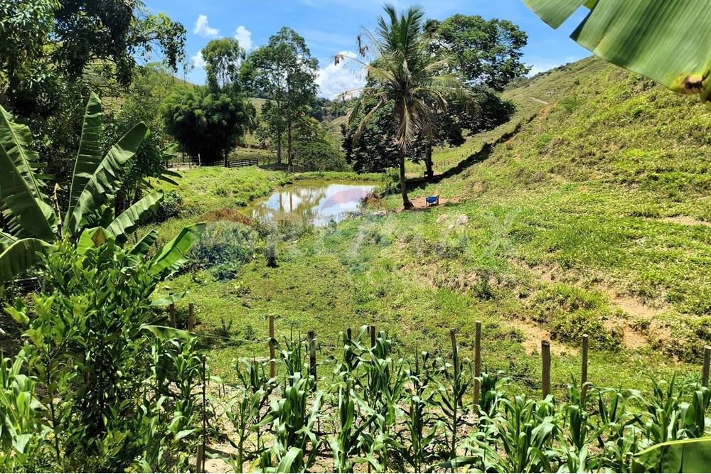 Chácara / Sítio / Fazenda - Venda - Taparuba , Minas Gerais - 8_image_8_watermark_sex._19122025_102132.jpg - 870451001-158