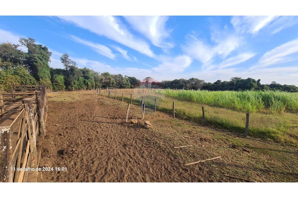 Chácara / Sítio / Fazenda - Venda - Uberaba , Minas Gerais -  (44).jpeg - 870291025-115