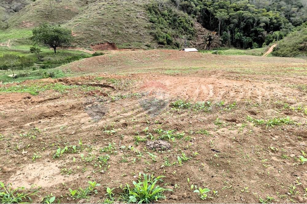 Chácara / Sítio / Fazenda - Venda - Ipanema , Minas Gerais - 3_image_3_watermark_qui._20112025_124337.jpg - 870451013-80