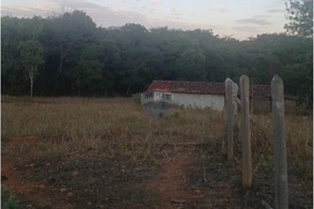 Chácara / Sítio / Fazenda - Venda - Pedro Leopoldo , Minas Gerais - 20250609_170948.jpg - 870411101-6