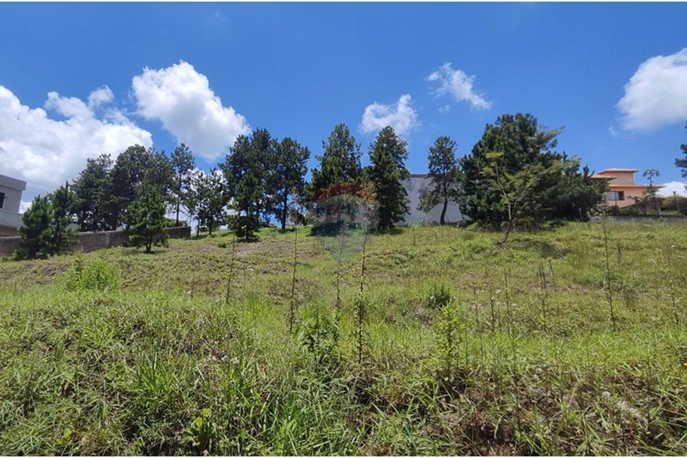 Terreno - Venda - Nova Lima , Minas Gerais - IMG_20250111_115133.jpg - 870421014-287