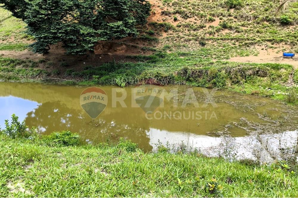 Chácara / Sítio / Fazenda - Venda - Taparuba , Minas Gerais - 6_image_6_watermark_sex._19122025_102006.jpg - 870451001-158