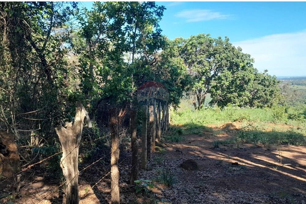 Terreno - Venda - Lagoa Santa , Minas Gerais - FOTO19 FAZENDA .jpg - 870421119-51