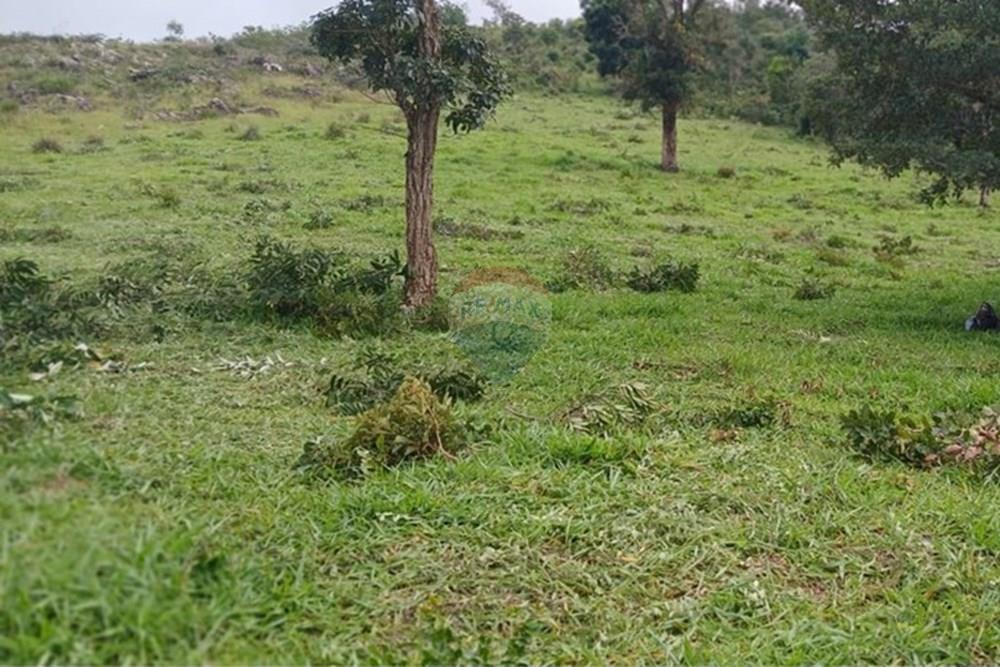 Fazenda - Venda - Serro , Minas Gerais - WhatsApp Image 2025-11-22 at 10.11.28.jpeg - 870411101-18