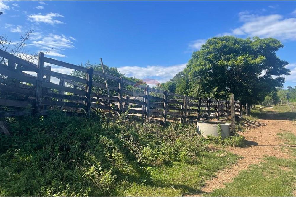 Chácara / Sítio / Fazenda - Venda - Araxá , Minas Gerais - 19.jpg - 870431045-37