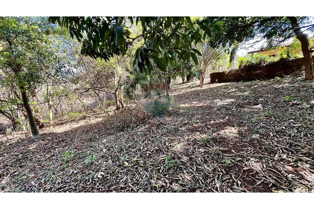 Chácara / Sítio / Fazenda - Venda - Nova Lima , Minas Gerais - WhatsApp Image 2025-10-23 at 11.17.24.jpeg - 870351032-22