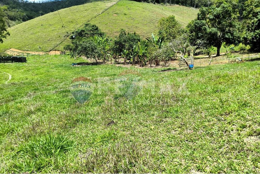 Chácara / Sítio / Fazenda - Venda - Taparuba , Minas Gerais - 3_image_3_watermark_sex._19122025_102306.jpg - 870451001-158
