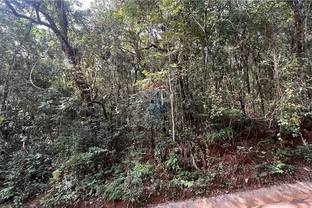 Terreno - Venda - Nova Lima , Minas Gerais - WhatsApp Image 2025-07-24 at 10.49.35.jpeg - 870351032-18