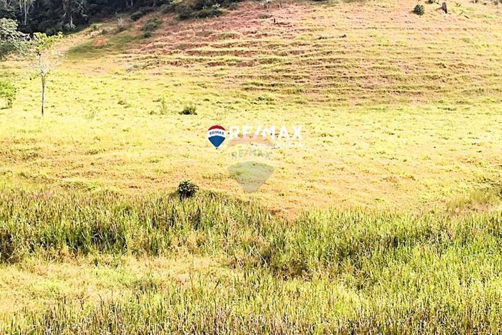 Chácara / Sítio / Fazenda - Venda - Ipanema , Minas Gerais - 4_IMG_20240515_093249_watermark_dom._23062024_100706.jpg - 870451001-122