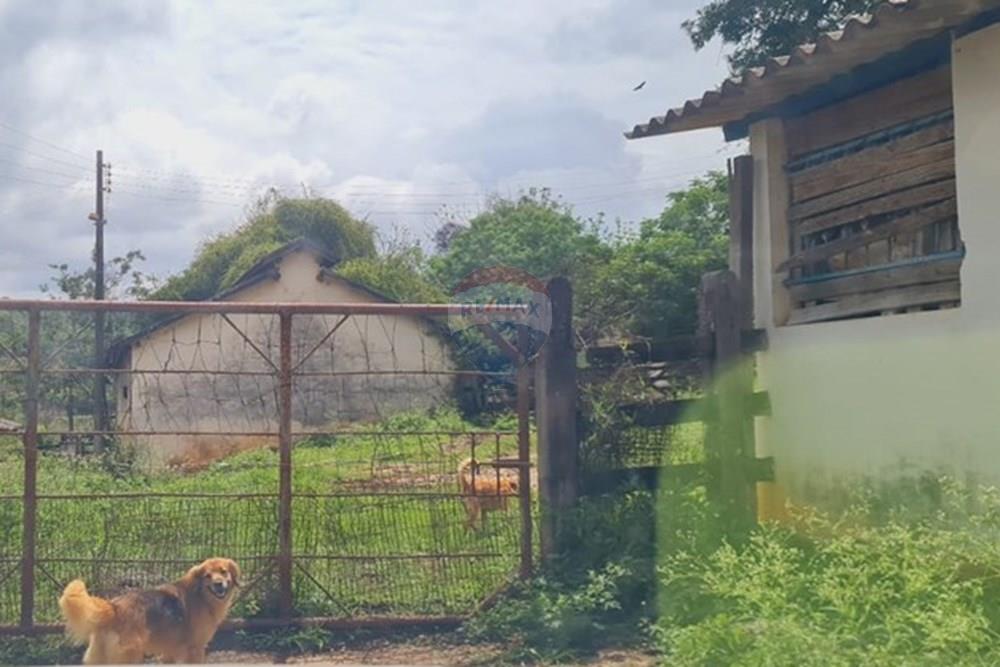 Fazenda - Venda - Pedro Leopoldo , Minas Gerais - 41a327da-9401-4deb-9d23-e5af388b1de0.jpeg - 870411117-34