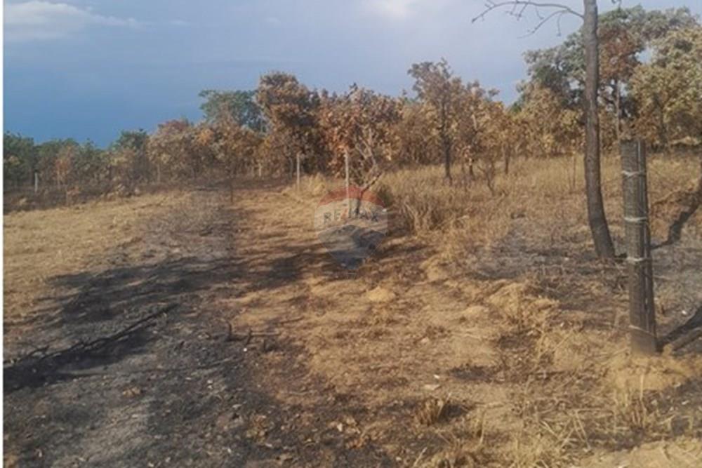 Terreno - Venda - Felixlândia , Minas Gerais - imagem 5.jpeg - 870411117-32