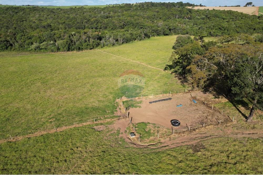 Fazenda - Venda - Uberaba , Minas Gerais - B7.jpeg - 870291037-12