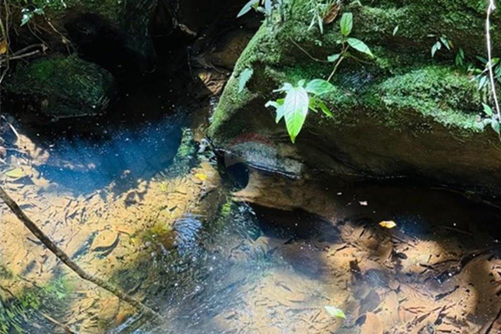 Chácara / Sítio / Fazenda - Venda - Caeté , Minas Gerais - IMG-20251030-WA0355.jpg - 870421116-90