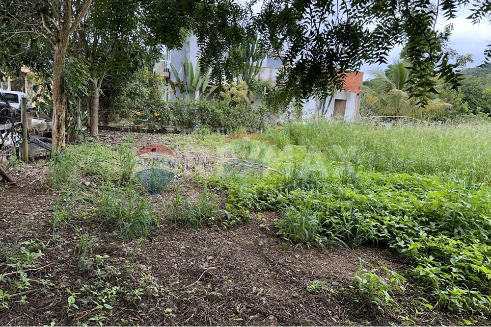 Chácara / Sítio / Fazenda - Venda - Ipanema , Minas Gerais - 4_image_4_watermark_ter._23122025_141302.jpg - 870451001-159