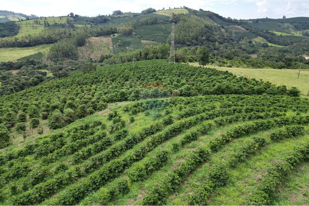 Fazenda - Venda - Caconde , São Paulo - DJI_0994.JPG - 870361041-102